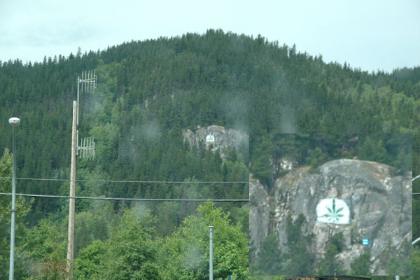 Terrace cannabis leaf